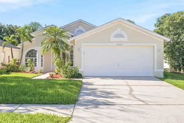 30726 Tremont Drive, WESLEY CHAPEL, FL 33543