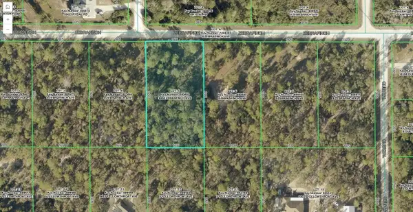9466 Zebrafinch Avenue, WEEKI WACHEE, FL 34614