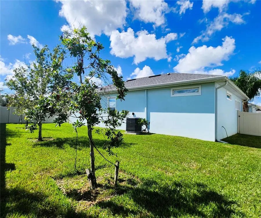 8896 Drummer Plank Drive, Wesley Chapel, FL 33545 - #2
