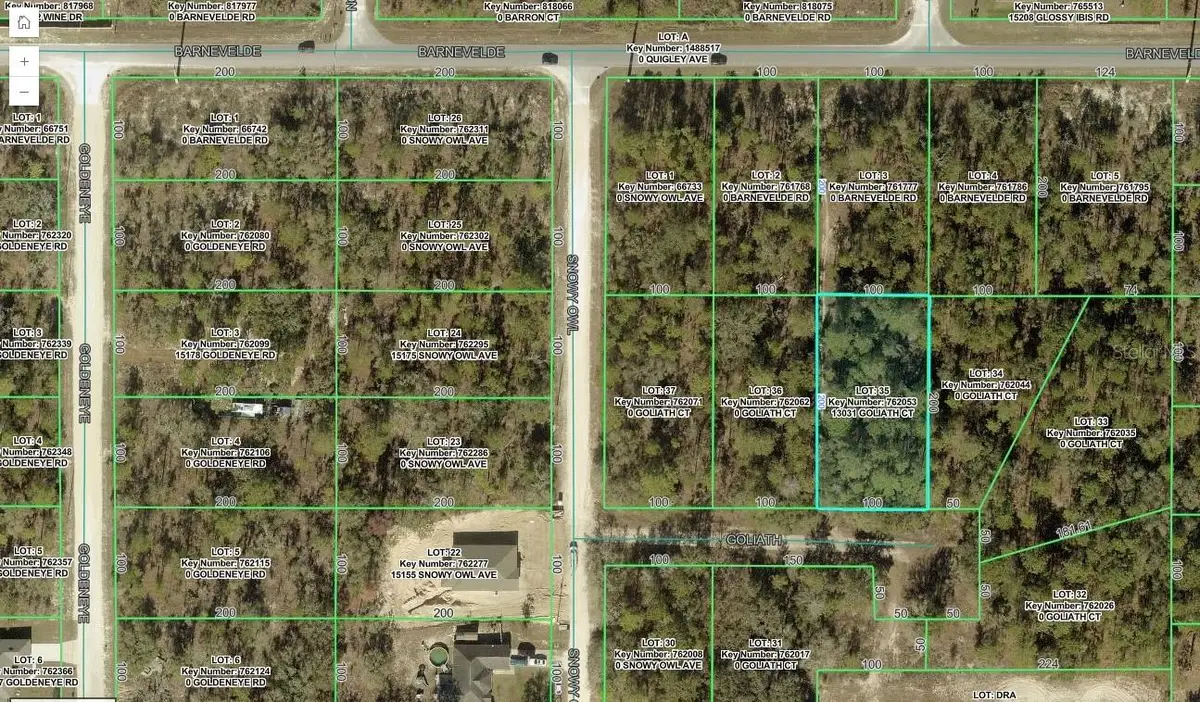 13031 Goliath Court, Weeki Wachee, FL 34614 - #1