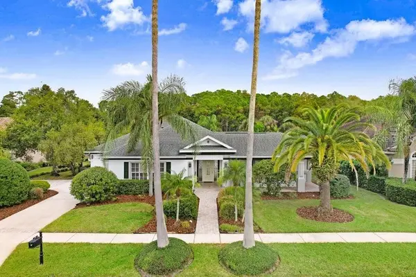 12009 Brewster Drive, TAMPA, FL 33626