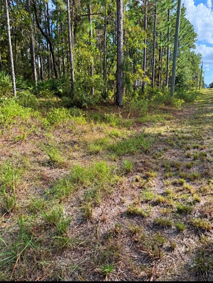 16154 Malden Road, Weeki Wachee, FL 34614 - #1