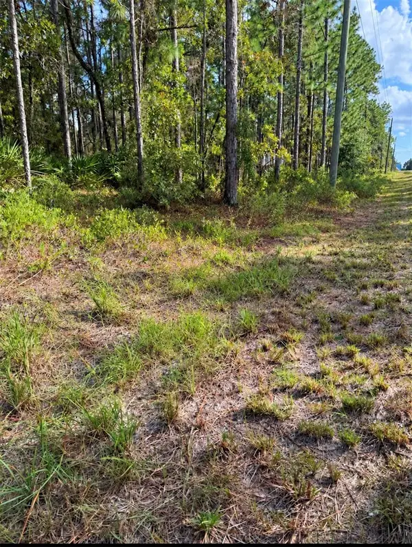 16154 Malden Road, WEEKI WACHEE, FL 34614
