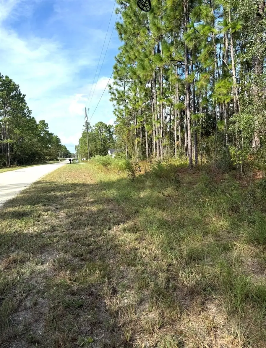 16154 Malden Road, Weeki Wachee, FL 34614 - #3