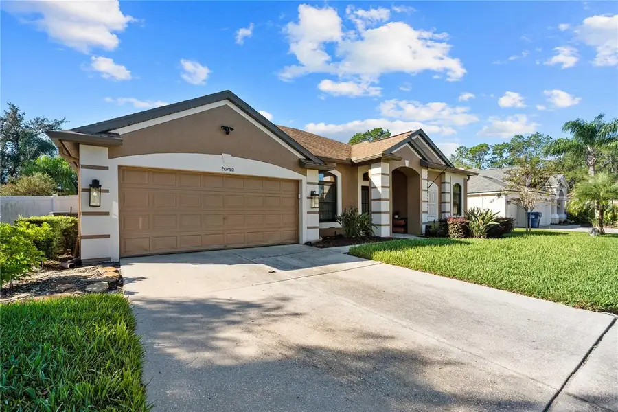 20750 Orchardtown Drive, Land O Lakes, FL 34638 - #3