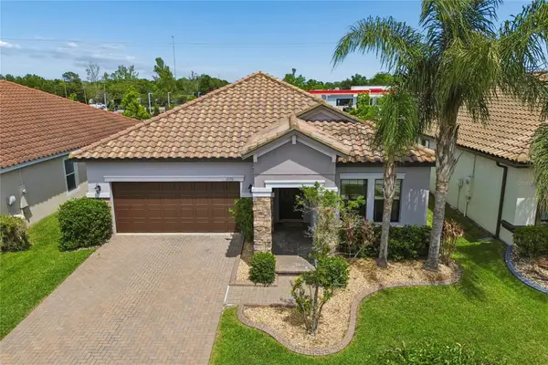 13170 Green Violet Drive, RIVERVIEW, FL 33579