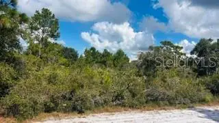 916 (BLK 143 LOT 8) El Dorado Drive, Indian Lake Estates, FL 33855 - #1