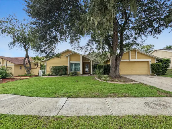 2510 Brimhollow Drive, VALRICO, FL 33596