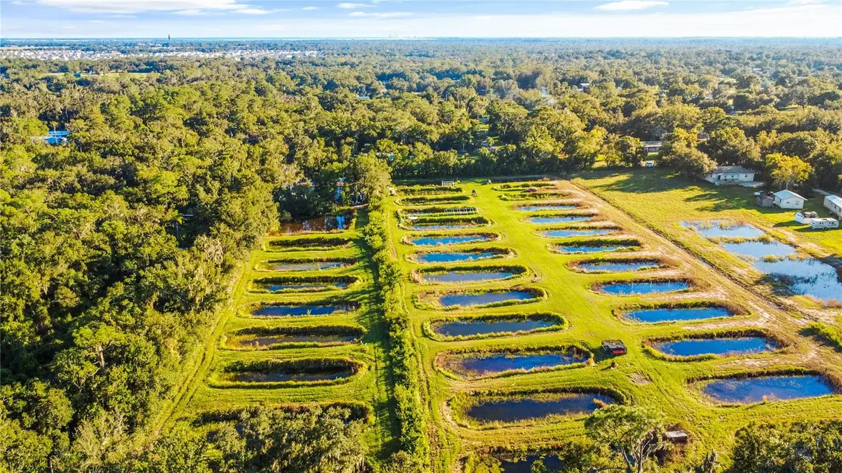 5010 Ruth Morris Road, Wimauma, FL 33598 - #1