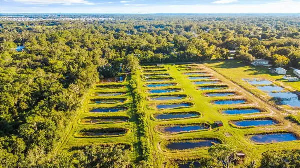 5010 Ruth Morris Road, WIMAUMA, FL 33598