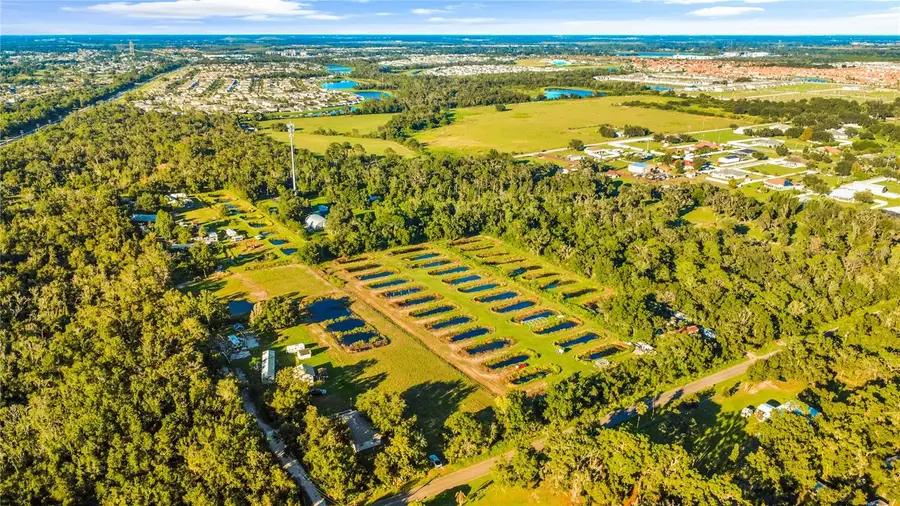 5010 Ruth Morris Road, Wimauma, FL 33598 - #2