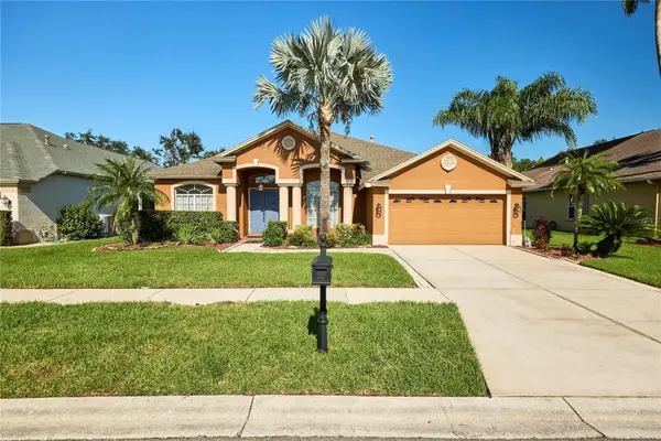 18016 Royal Forest Drive, TAMPA, FL 33647