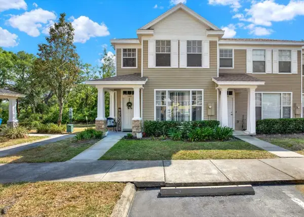 11041 Black Swan Court, SEFFNER, FL 33584