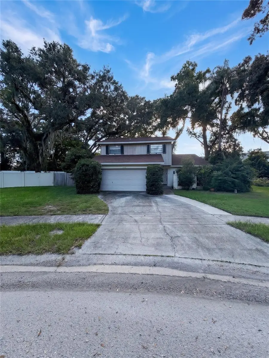 14714 Oak Vine Drive, Lutz, FL 33559 - #1