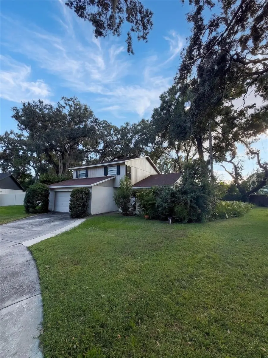 14714 Oak Vine Drive, Lutz, FL 33559 - #3