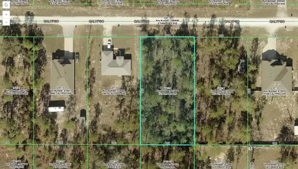 14082 Calypso Avenue, WEEKI WACHEE, FL 34614