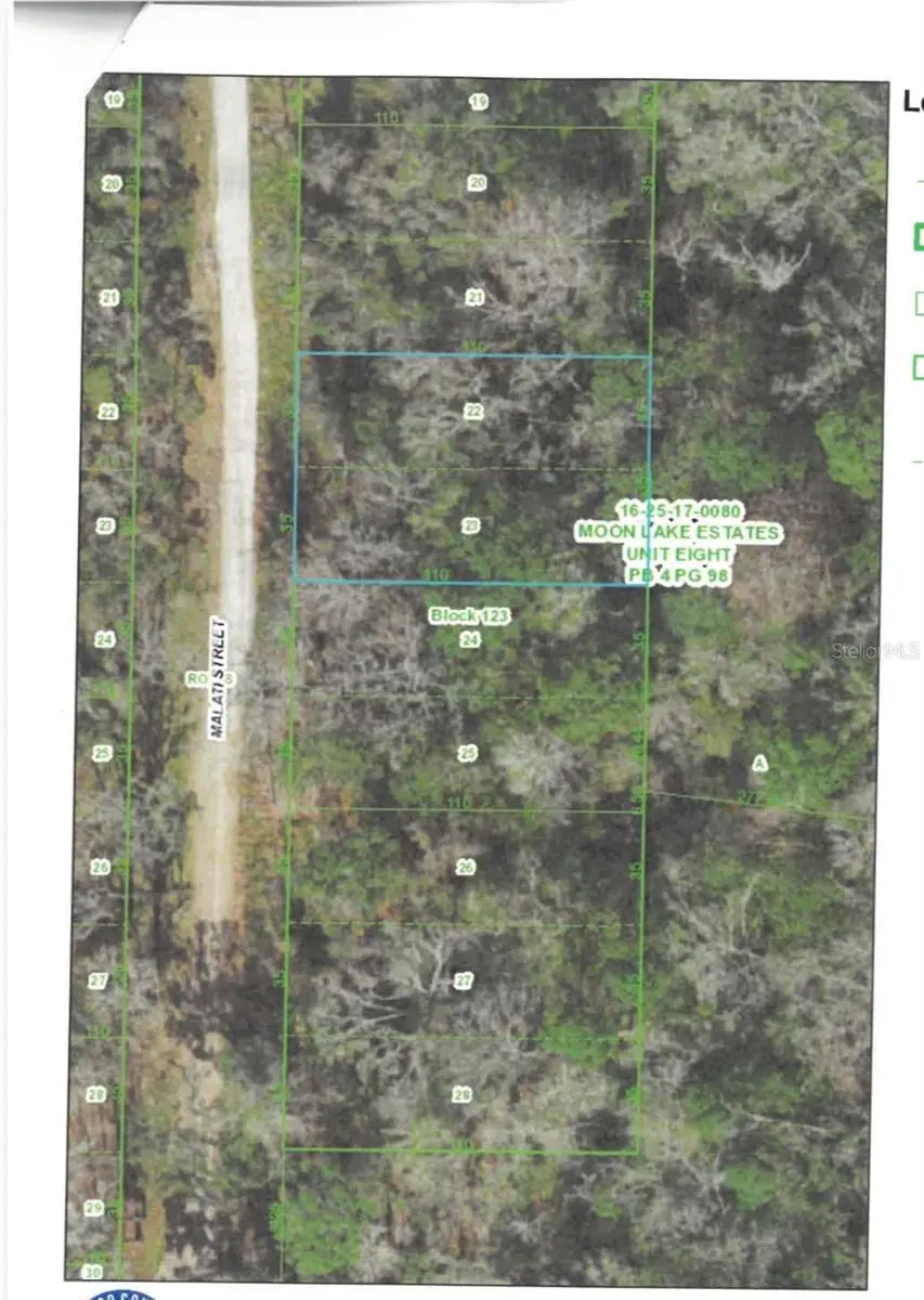 Malati Street, New Port Richey, FL 34654 - #1
