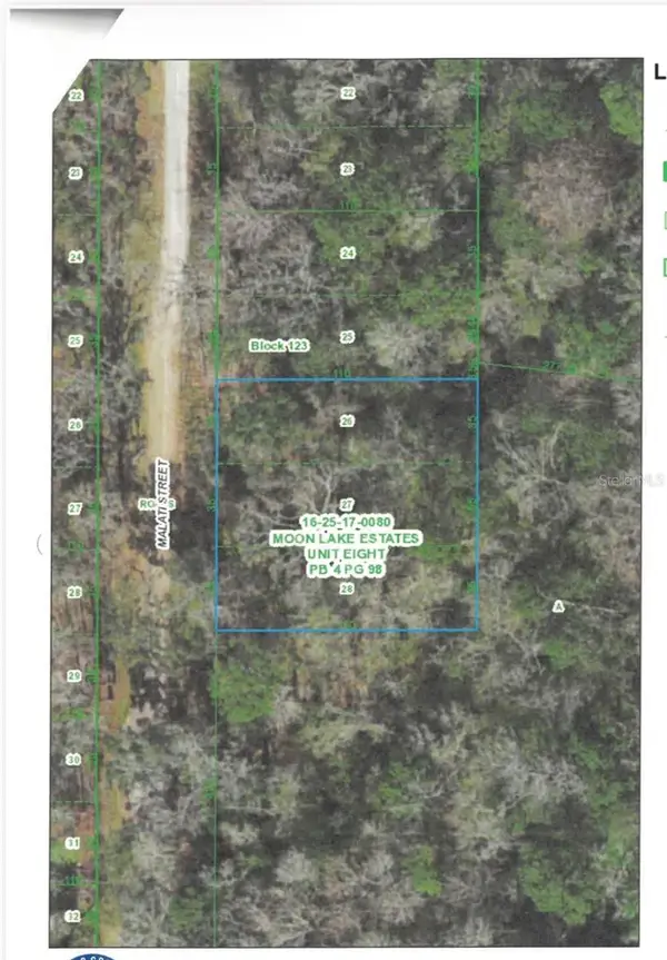 Malati Street, NEW PORT RICHEY, FL 34654