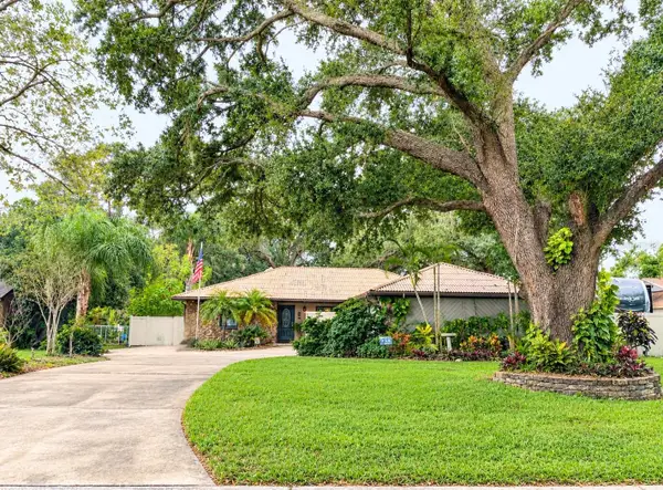 329 Hollowtree Drive, SEFFNER, FL 33584