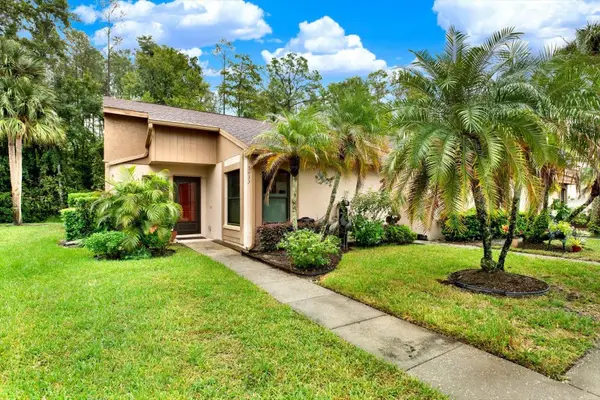 3433 Hillmoor Drive, PALM HARBOR, FL 34685