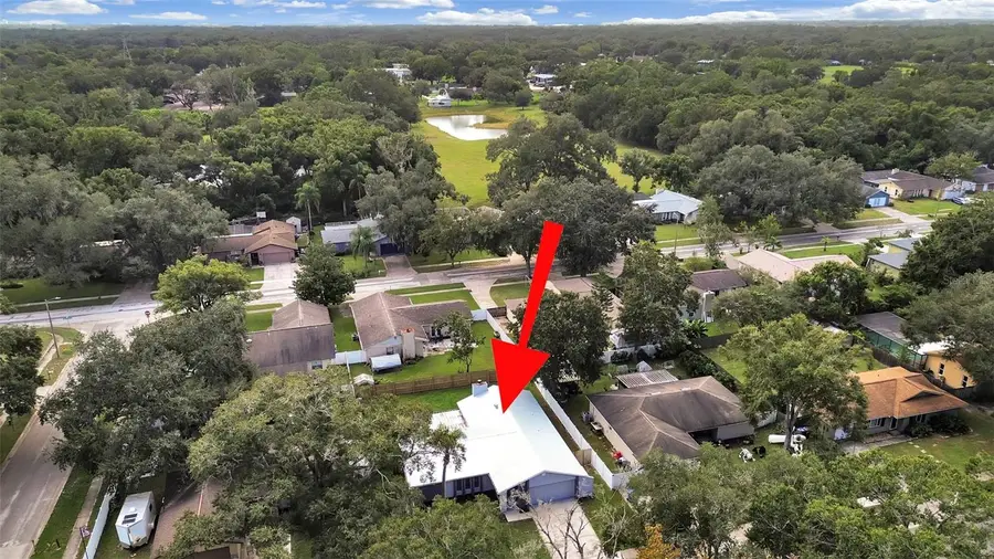17531 Brandywine Drive, Lutz, FL 33549 - #2