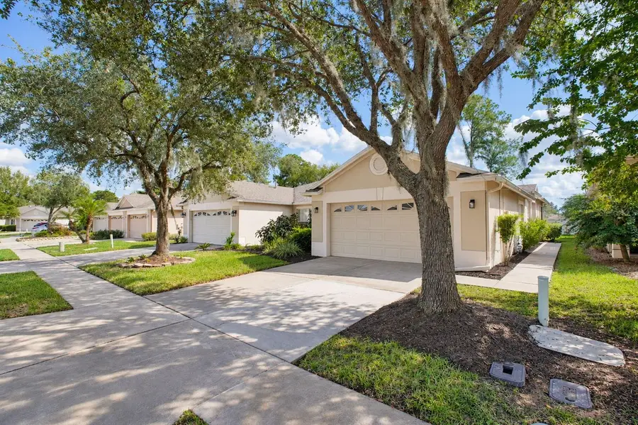 31421 Shaker Circle, Wesley Chapel, FL 33543 - #3
