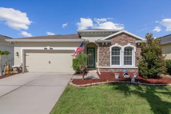 11143 Spring Point Circle, RIVERVIEW, FL 33579