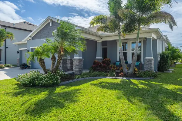 11809 Tetrafin Drive, RIVERVIEW, FL 33579