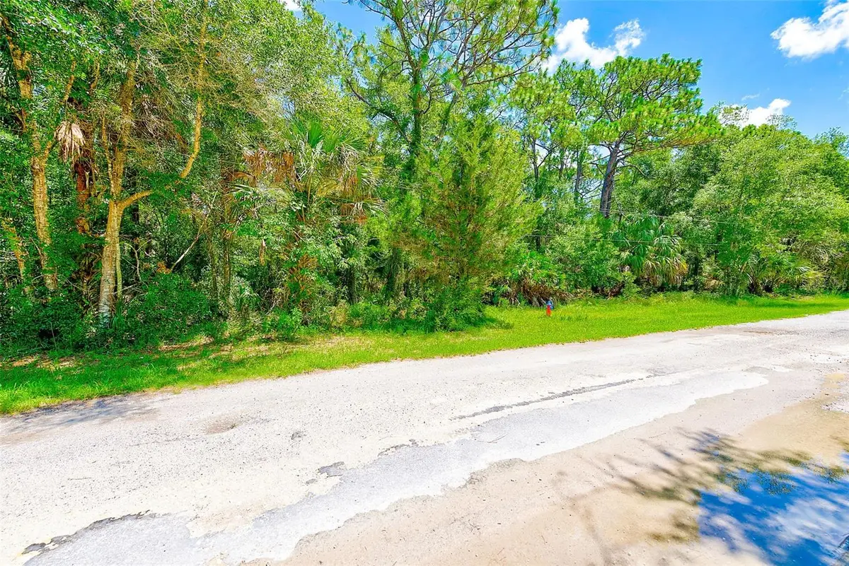1253 NE 1st Street, Crystal River, FL 34429 - #1