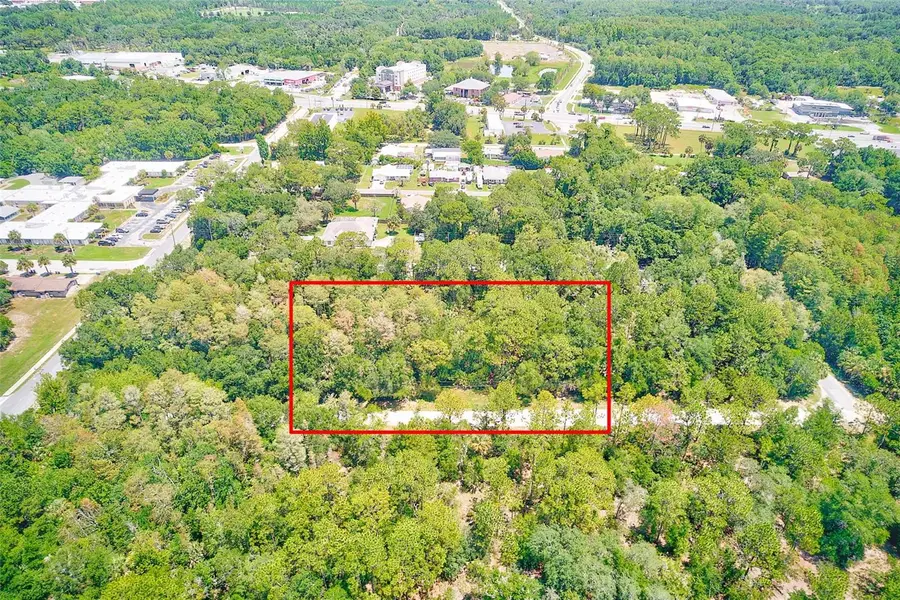 1253 NE 1st Street, Crystal River, FL 34429 - #2