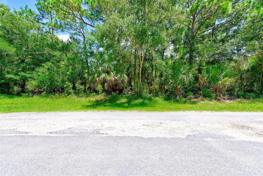 1253 NE 1st Street, Crystal River, FL 34429 - #3