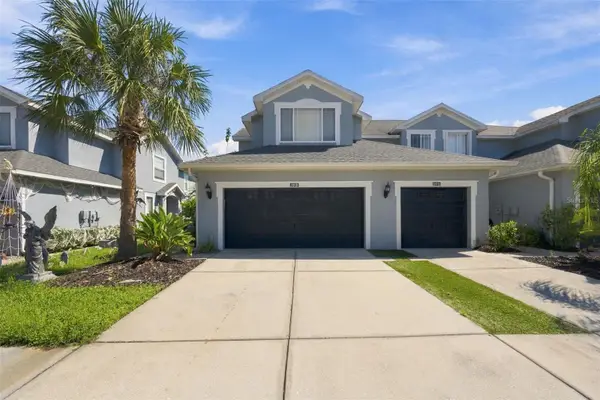 10313 Willow Leaf Trail, TAMPA, FL 33625