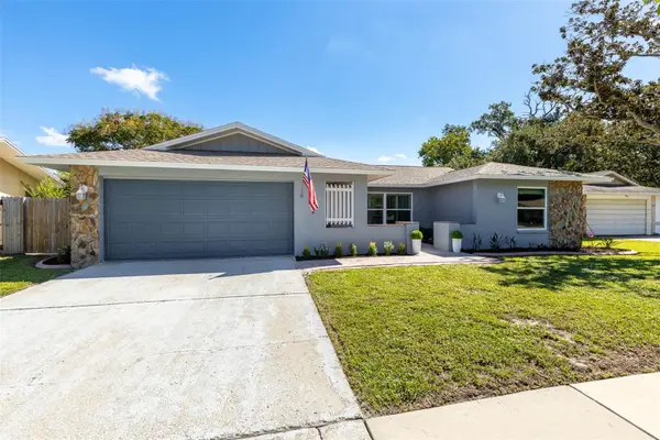 3427 Glossy Ibis Ct, PALM HARBOR, FL 34683