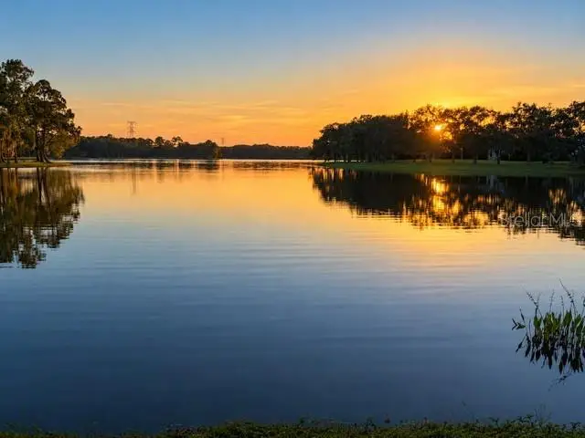 14623 Canopy Drive, Tampa, FL 33626 - #3