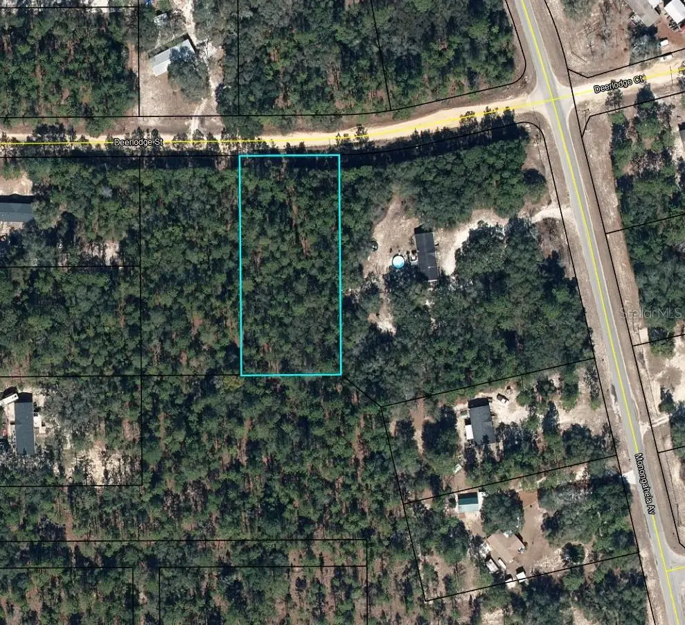 5615 Deerlodge Street, Keystone Heights, FL 32656 - #1