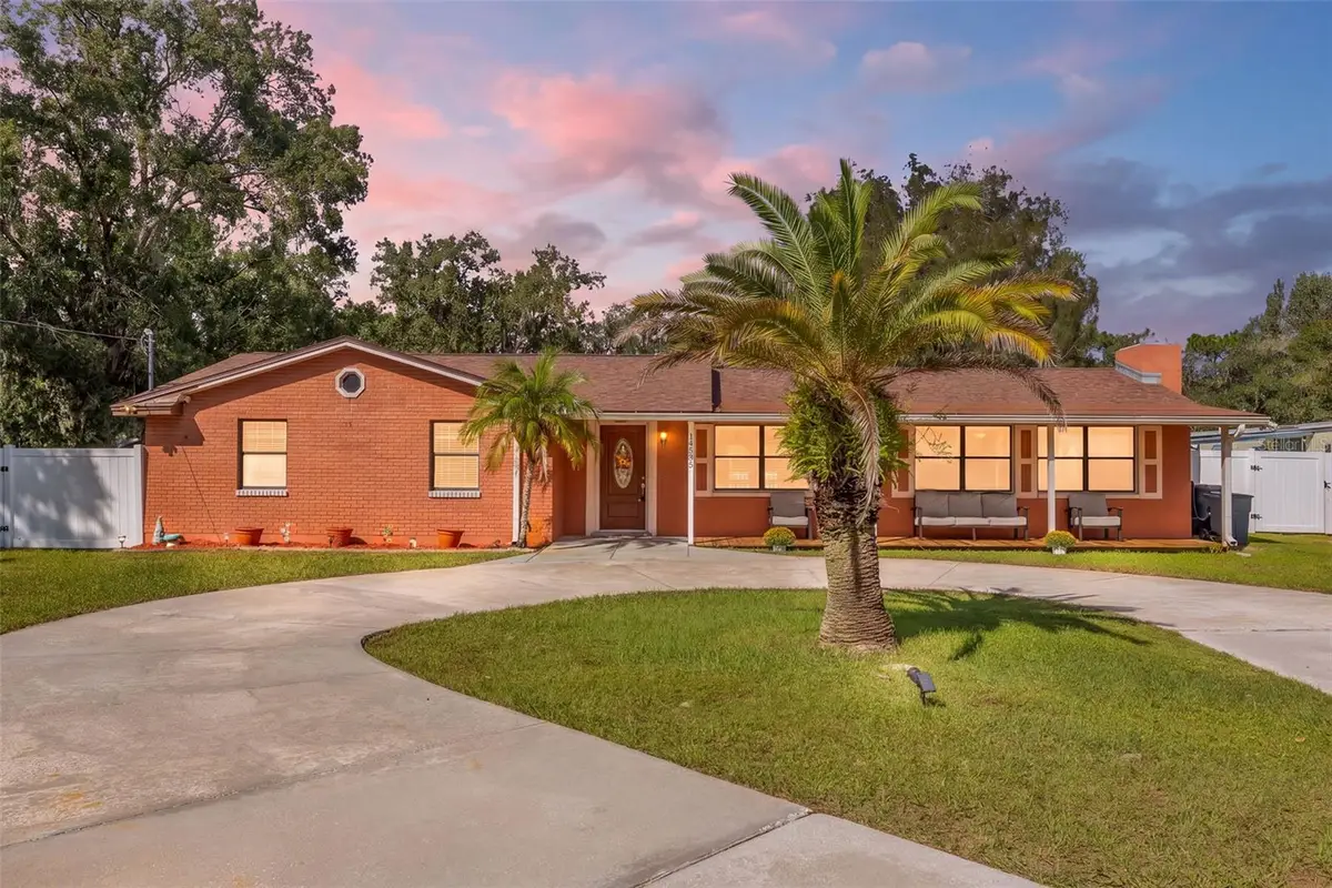 14535 Sassandra Drive, Odessa, FL 33556 - #1