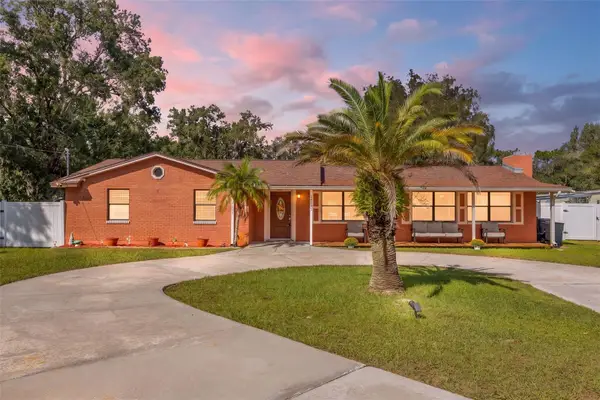 14535 Sassandra Drive, ODESSA, FL 33556