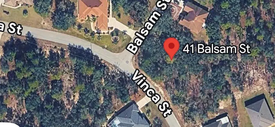 41 Balsam Street, Homosassa, FL 34446 - #2