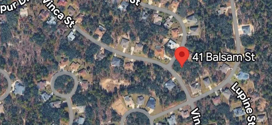 41 Balsam Street, Homosassa, FL 34446 - #3