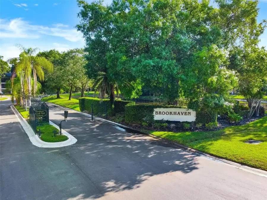3427 Hillmoor Drive, Palm Harbor, FL 34685 - #2