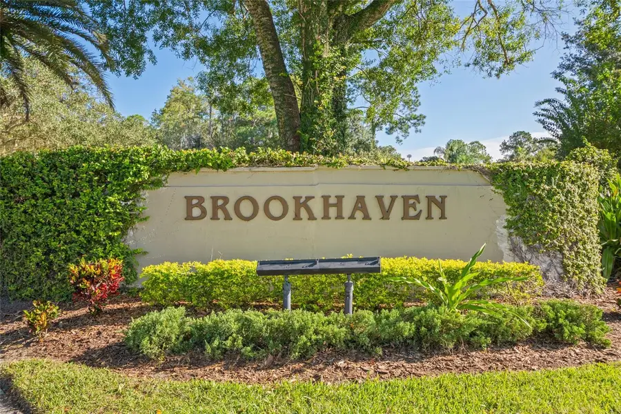 3427 Hillmoor Drive, Palm Harbor, FL 34685 - #3