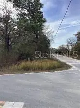 12449 Indigo Bunting Road, Weeki Wachee, FL 34614 - #2