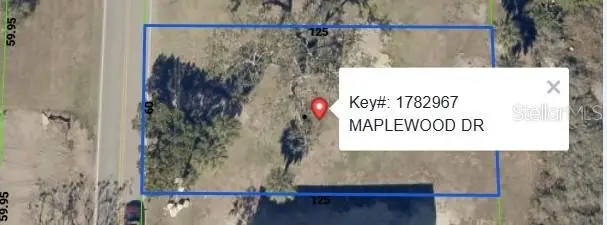 Maplewood Drive, Hernando Beach, FL 34607 - #2