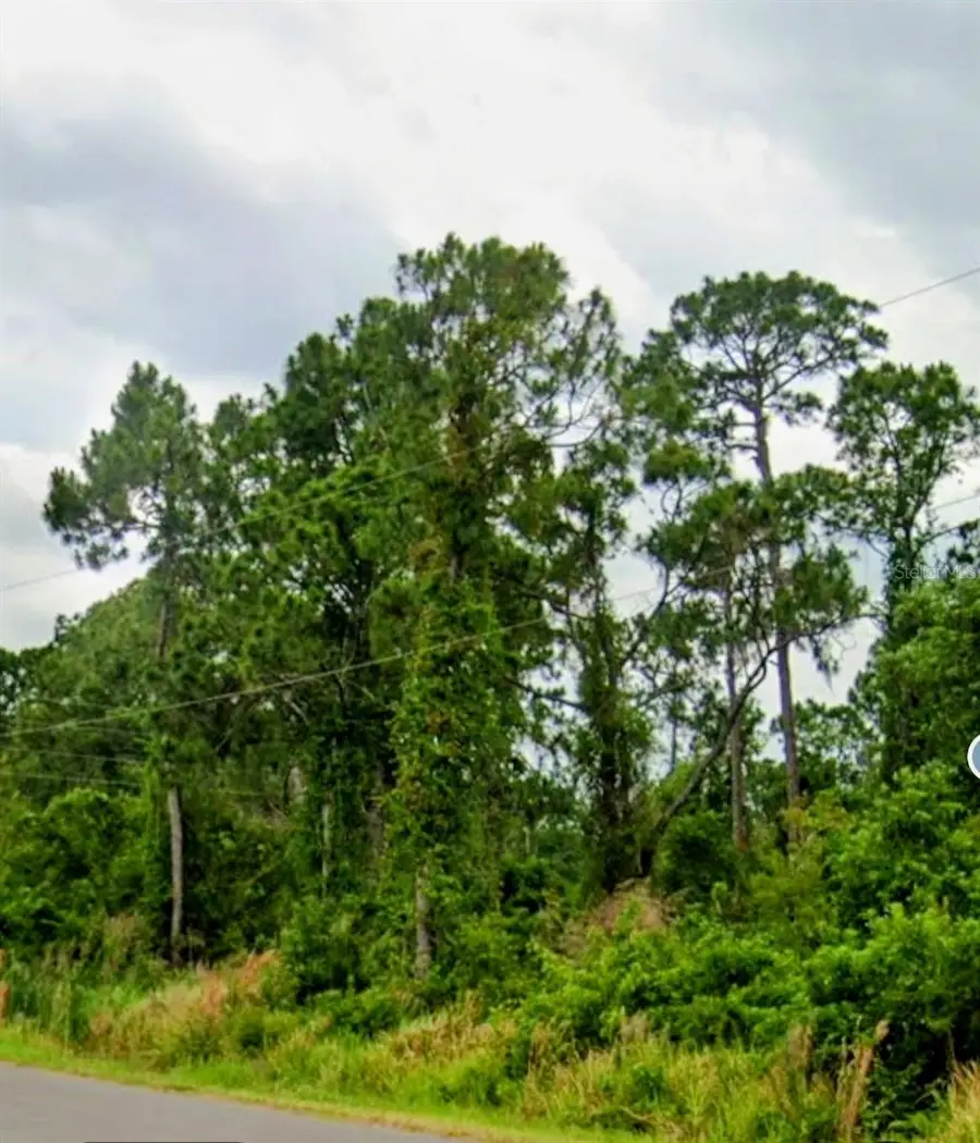 6715 Benevento Avenue, Sebring, FL 33872 - #3