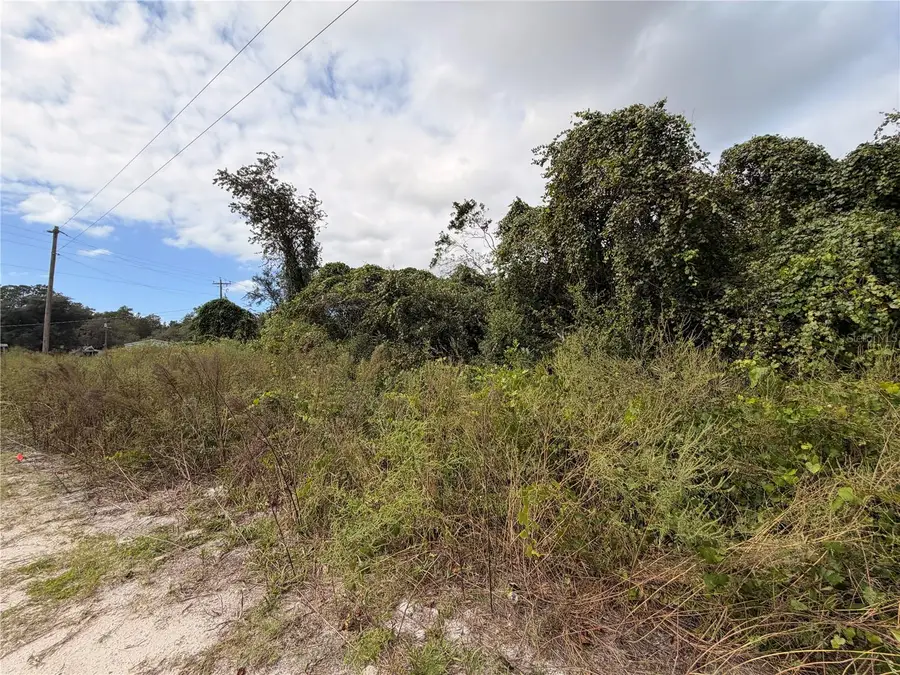 Lot 55 Palmetto Circle, Paisley, FL 32767 - #3