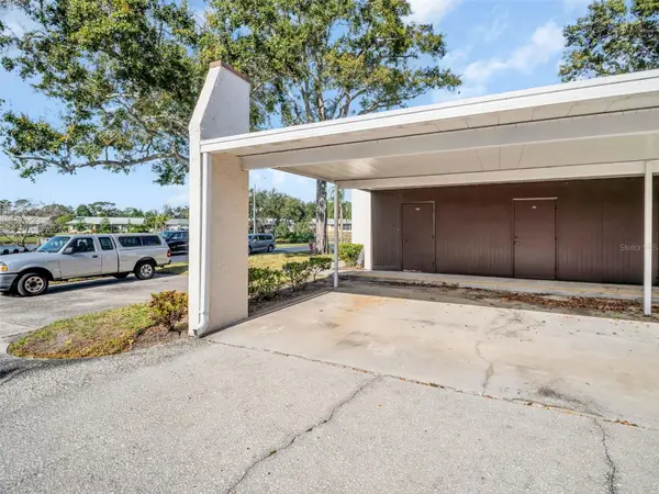 3109 Mission Grove Drive #D, PALM HARBOR, FL 34684