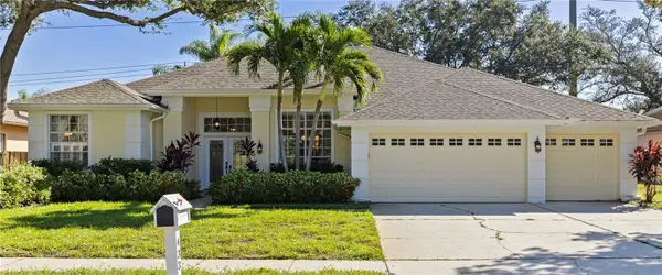 433 Pine Warbler Way N, PALM HARBOR, FL 34683