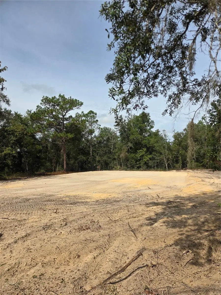 16147 Sheldrake Loop, Weeki Wachee, FL 34614 - #2