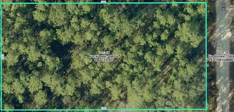 18379 Macek Road, Weeki Wachee, FL 34614 - #1