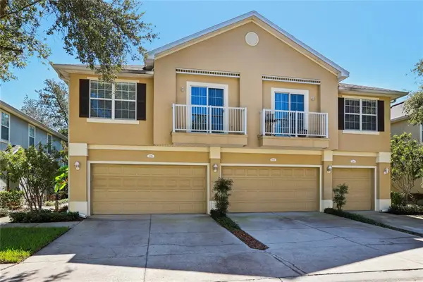 6736 Breezy Palm Drive, RIVERVIEW, FL 33578